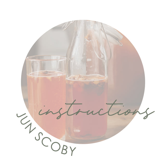 Jun Scoby Instructions