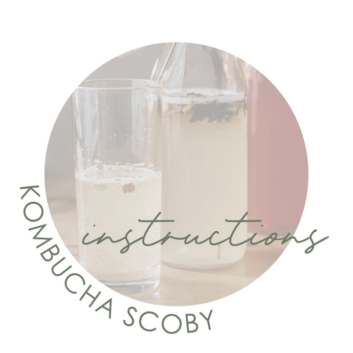 Kombucha Scoby Instructions