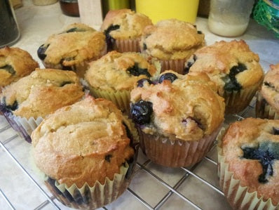 Gluten-Free Sourdough Muffins