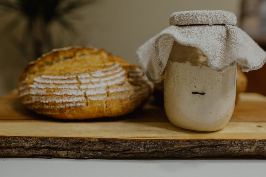 Traditional Sourdough Starter - Fresh